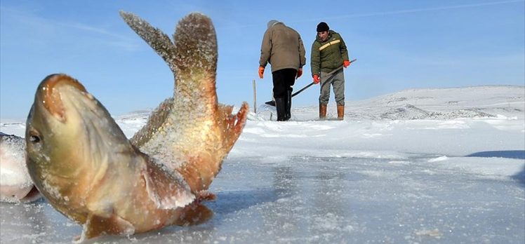 Eskimo usulü balık avlıyorlar
