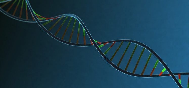 İnsan DNA’sının müziği notalara döküldü