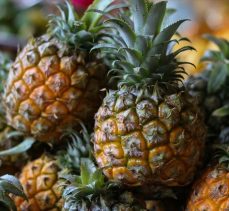 TİKA’dan Gine’de ananas tarımına destek