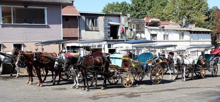 İstanbul Valisi Yerlikaya: Adalar’da faytonlara at koşulması 3 ay süreyle durduruldu
