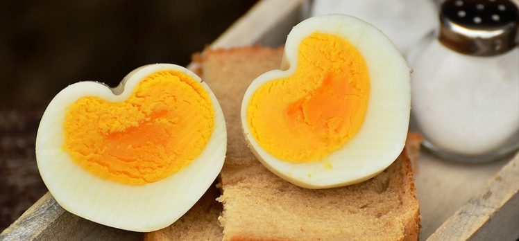 Günde bir yumurta kalp hastalığı riskini artırmıyor