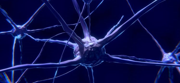 Parkinson’a erken yaşta yakalananların beyin hücreleri doğuştan hasarlı olabilir