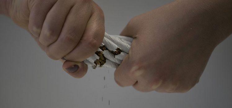 Türk bilim insanları nikotinin bağışıklık sistemini ‘saldırganlaştırdığını’ kanıtladı