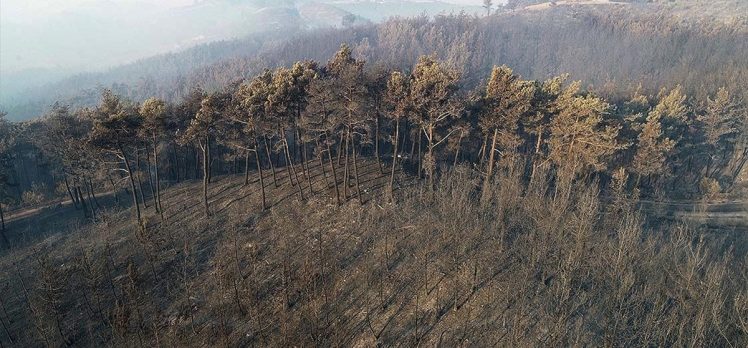 Adana’daki orman yangınına havadan müdahale tekrar başladı
