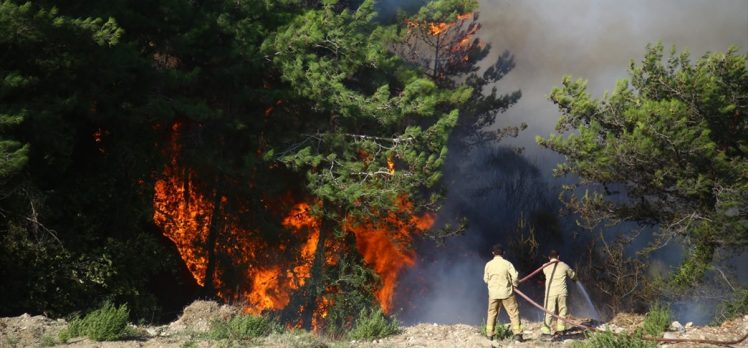 Hatay’daki orman yangınlarıyla ilgili 2 şüpheli tutuklandı
