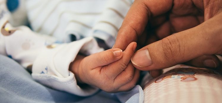 Prof. Dr. Üstündağ: Erken sezaryen bebeklerin böbrek gelişimini olumsuz etkiliyor