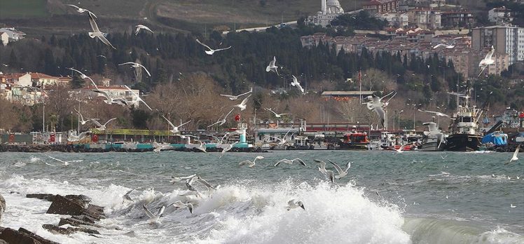 Marmara Denizi’nde lodos 3 gündür deniz ulaşımını olumsuz etkiliyor