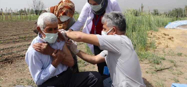 Hastaneye gitme fırsatı bulamayan Erzincanlı çiftçi aile çapa yaptıkları tarlada aşılandı