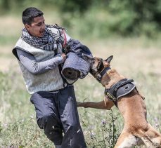 TSK’nın ‘cesur keşif köpekleri’ Bursa’da yetiştiriliyor
