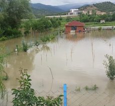 Sinop’ta su altında kalan tarım arazileri zarar gördü