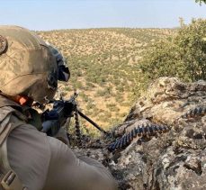 Mardin’de ‘Eren Abluka-31 Şehit Jandarma Uzman Çavuş Ali Erdinç’ operasyonu başlatıldı