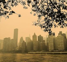 BM: New York’taki duman iklim krizinin sembolü