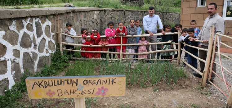 Mezradaki okulun çevresini kuş yuvaları ve çiçekliklerle donattılar