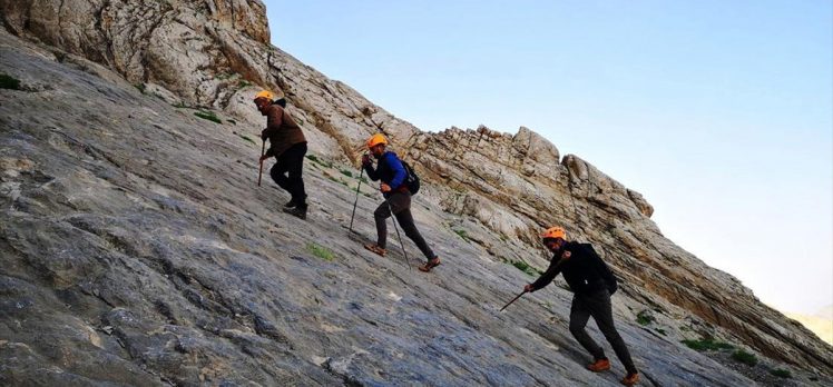 Hakkari’de dağcılar Sümbül Dağı’na tırmandı
