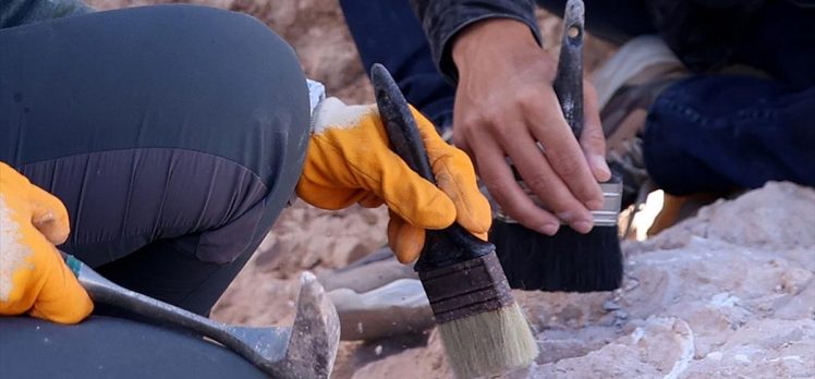 Arkeologlar dünyanın en eski ahşap yapısını keşfetmiş olabilir