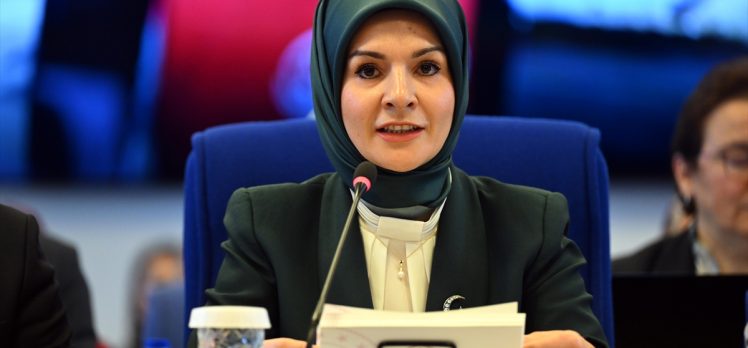 Aile ve Sosyal Hizmetler Bakanı Göktaş: Kadına yönelik şiddet toplumun meselesidir