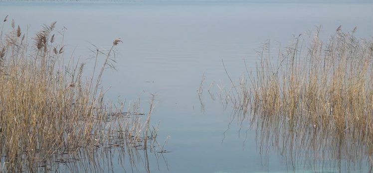 Sapanca Gölü’ndeki su seviyesi yağışların etkisiyle maksimum seviyeye yaklaştı