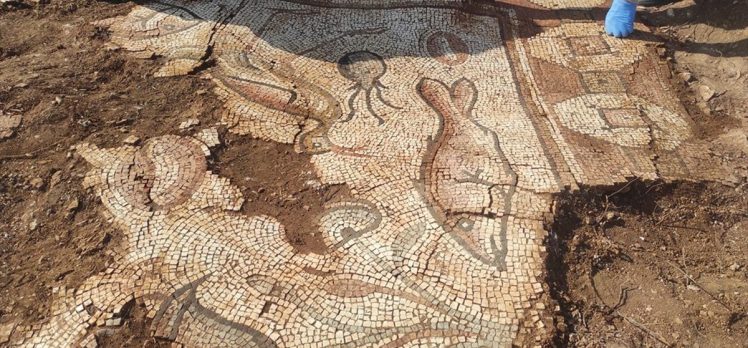 Mardin’de kurtarma kazısında deniz canlıları figürlü mozaikler bulundu