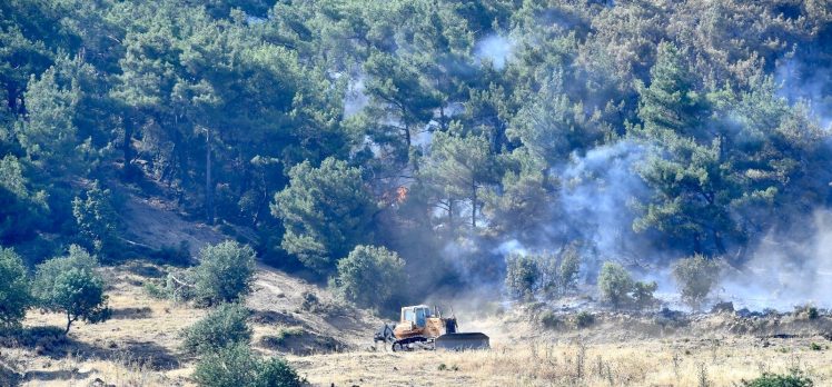 İzmir İtfaiyesi Bornova’daki yangına müdahale ediyor