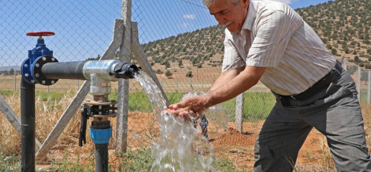 Büyükşehir Belediyesi arıtma suyunu tarımda kullandı