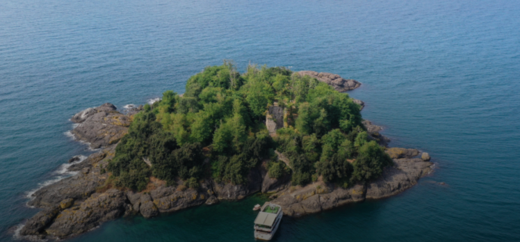 Yükümlüler, Giresun Adası‘nı temizledi