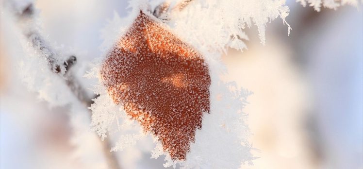 Meteorolojiden 4 il için zirai don ve çığ uyarısı