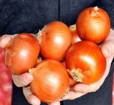 ‘Nisan sonunda soğan fiyatının 1-1,5 lira olması bekleniyor’