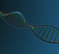 İnsan DNA’sının müziği notalara döküldü