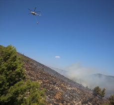 Bodrum ve Milas’taki orman yangınlarına 3 uçak ve 12 helikopterle müdahale ediliyor