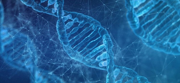 DNA haritası daha fazla insan grubunu kapsayacak şekilde güncellendi