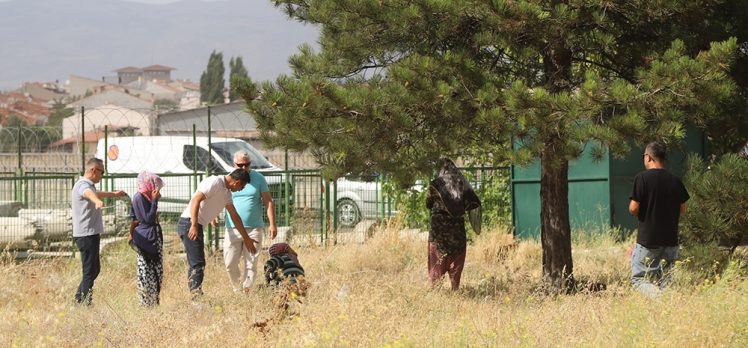 BÜYÜKŞEHİR ZABITASINDAN ŞEHRİN DÖRT BİR YANINDA OPERASYON