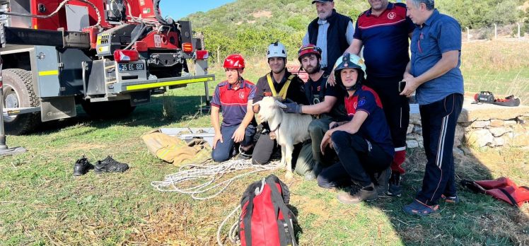 İzmir İtfaiyesi’nden yürekleri ısıtan kurtarma operasyonu