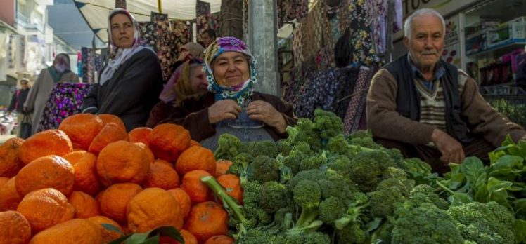 İstanbul’da Güncel Hal Fiyatları